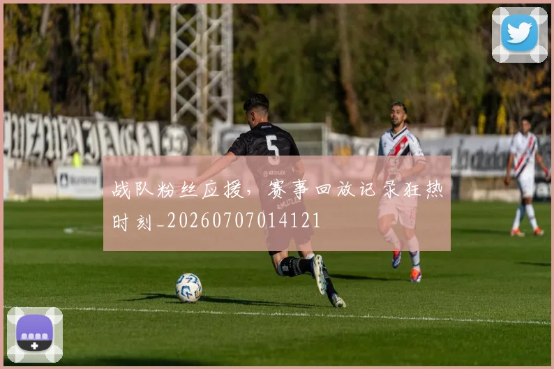 战队粉丝应援，赛事回放记录狂热时刻_20260707014121