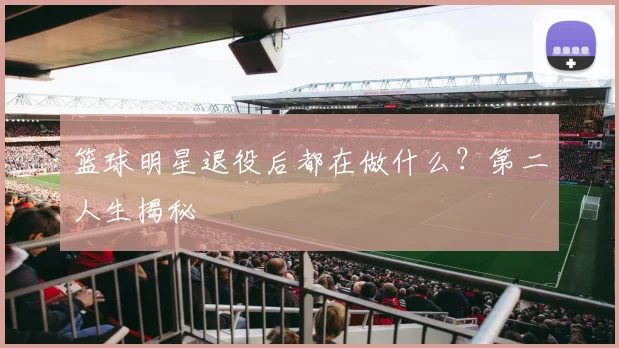 篮球明星退役后都在做什么?第二人生揭秘