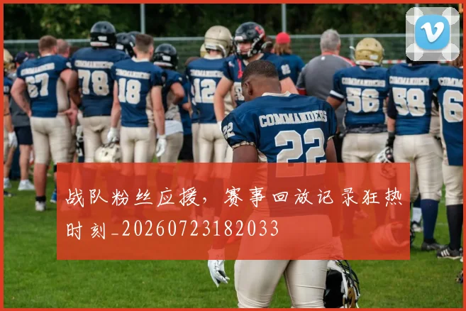 战队粉丝应援,赛事回放记录狂热时刻_20260723182033