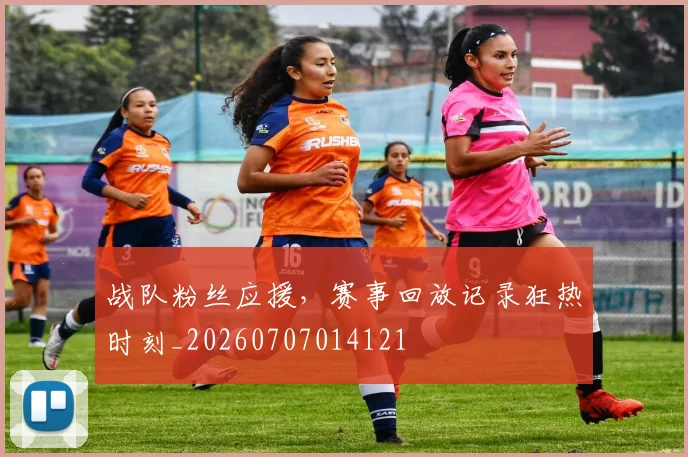战队粉丝应援，赛事回放记录狂热时刻_20260707014121
